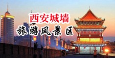 鸡巴操骚逼视频免费中国陕西-西安城墙旅游风景区